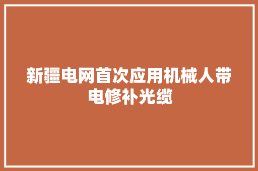 新疆电网首次应用机械人带电修补光缆