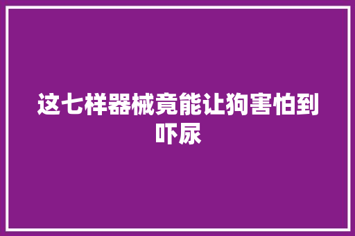 这七样器械竟能让狗害怕到吓尿,宠物托运快递公司。