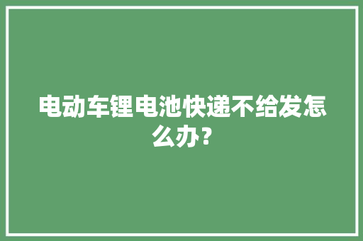 电动车锂电池快递不给发怎么办？,快递单号查询。