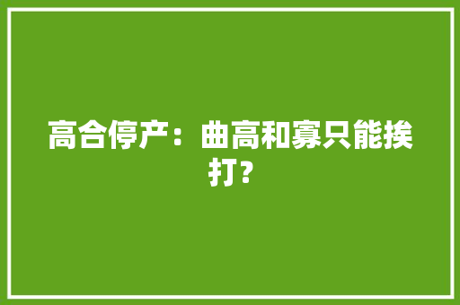 高合停产：曲高和寡只能挨打？