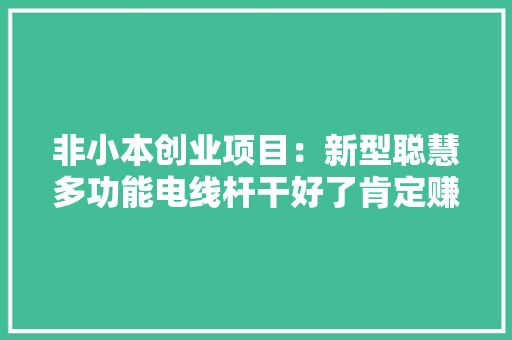 非小本创业项目：新型聪慧多功能电线杆干好了肯定赚大年夜钱