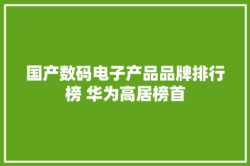 国产数码电子产品品牌排行榜 华为高居榜首