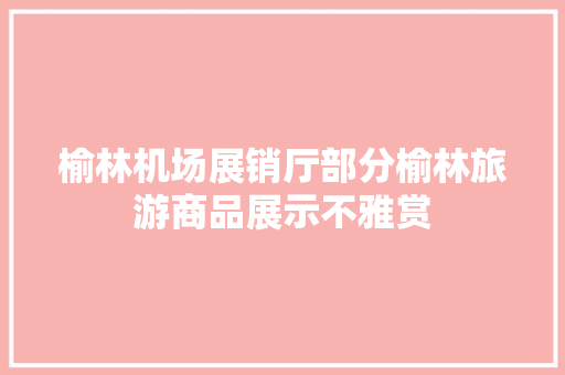榆林机场展销厅部分榆林旅游商品展示不雅赏