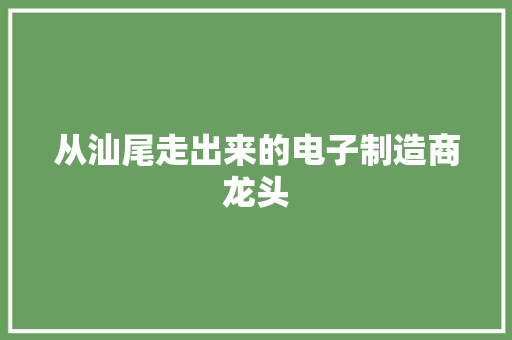 从汕尾走出来的电子制造商龙头