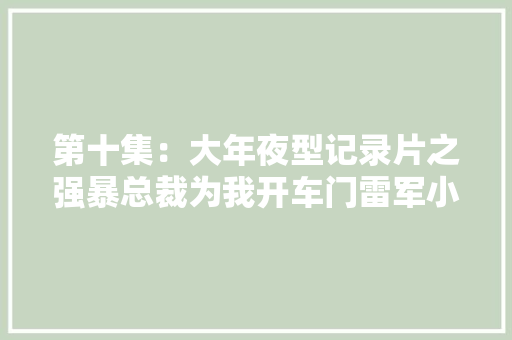 第十集：大年夜型记录片之强暴总裁为我开车门雷军小米su7