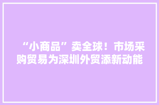 “小商品”卖全球！市场采购贸易为深圳外贸添新动能