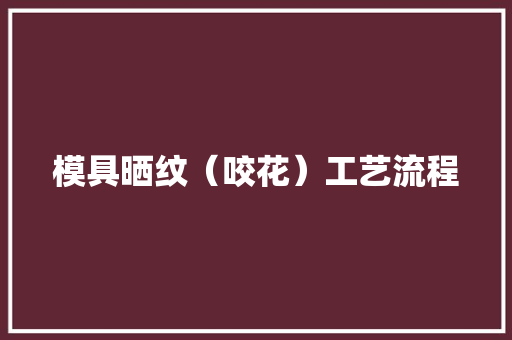 模具晒纹（咬花）工艺流程