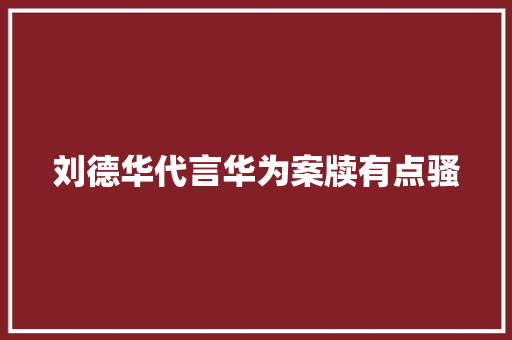 刘德华代言华为案牍有点骚,华为应用市场。