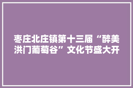 枣庄北庄镇第十三届“醉美洪门葡萄谷”文化节盛大开幕,村落的意思。