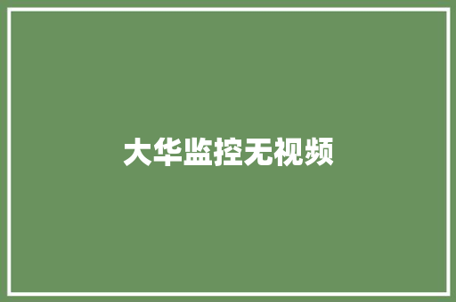 大华监控无视频,录像转文字。