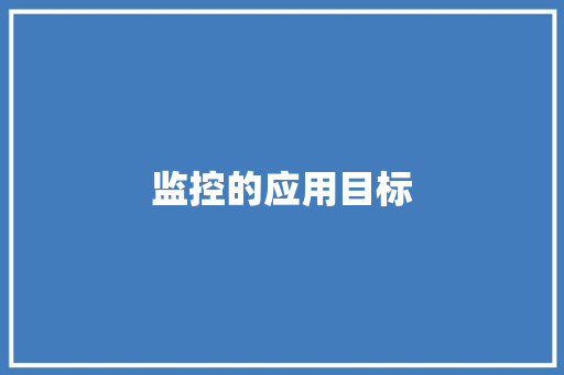 监控的应用目标