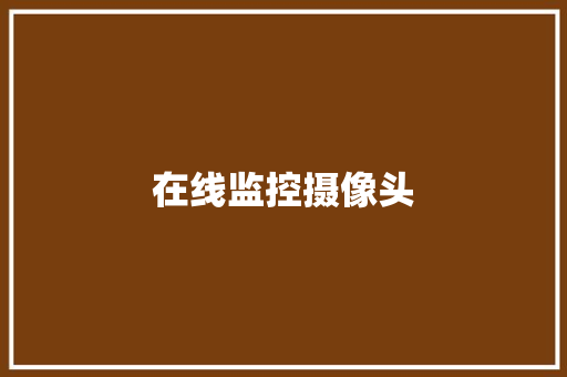 在线监控摄像头