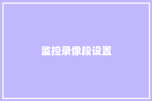 监控录像段设置