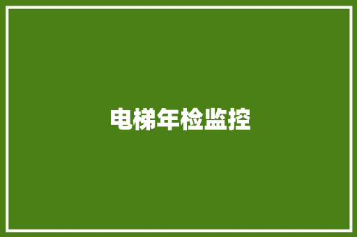 电梯年检监控