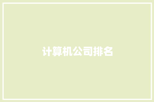 计算机公司排名