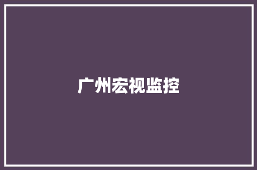 广州宏视监控