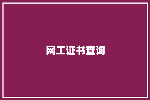 网工证书查询