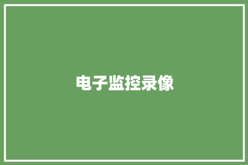 电子监控录像
