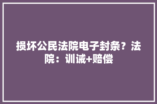 损坏公民法院电子封条？法院：训诫+赔偿
