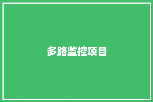 多路监控项目