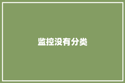 监控没有分类,抓拍是什么意思。