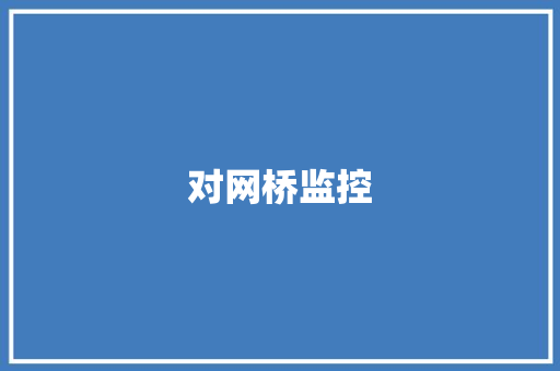 对网桥监控,监控点位分布图怎么做。