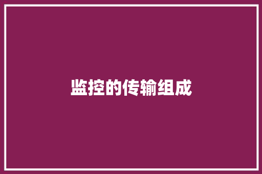 监控的传输组成