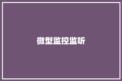 微型监控监听