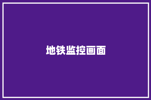 地铁监控画面