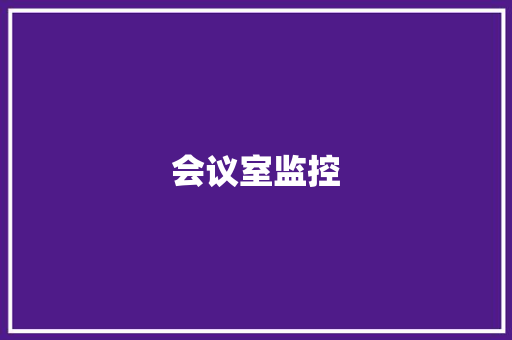 会议室监控,会议纪要模板。
