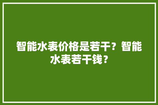 智能水表价格是若干？智能水表若干钱？
