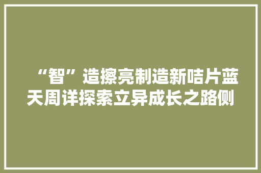 “智”造擦亮制造新咭片蓝天周详探索立异成长之路侧记
