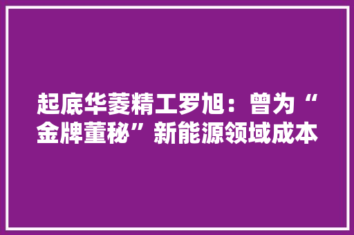 起底华菱精工罗旭：曾为“金牌董秘”新能源领域成本运作高手