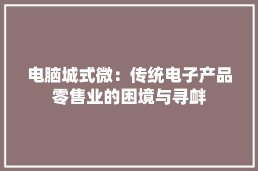 电脑城式微：传统电子产品零售业的困境与寻衅