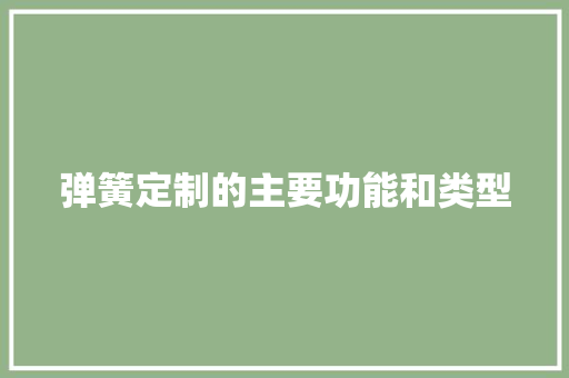 弹簧定制的主要功能和类型