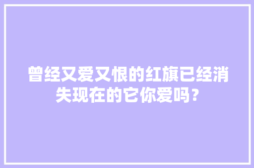 曾经又爱又恨的红旗已经消失现在的它你爱吗？