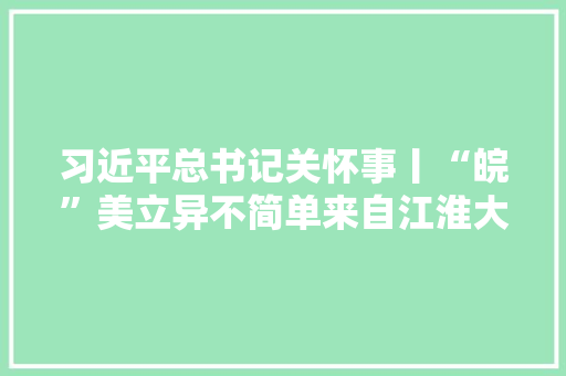 习近平总书记关怀事丨“皖”美立异不简单来自江淮大年夜地的立异故事