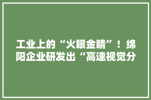 工业上的“火眼金睛”！绵阳企业研发出“高速视觉分选机”