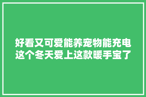 好看又可爱能养宠物能充电这个冬天爱上这款暖手宝了