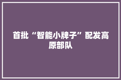 首批“智能小牌子”配发高原部队