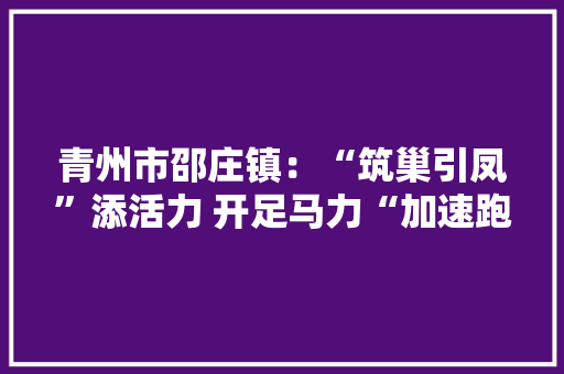 青州市邵庄镇：“筑巢引凤”添活力 开足马力“加速跑”