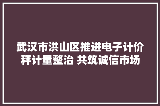 武汉市洪山区推进电子计价秤计量整治 共筑诚信市场