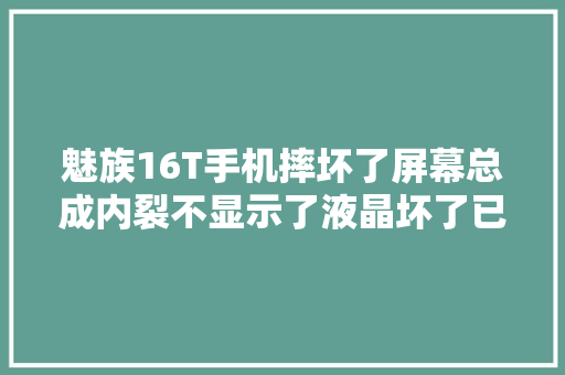 魅族16T手机摔坏了屏幕总成内裂不显示了液晶坏了已购买...