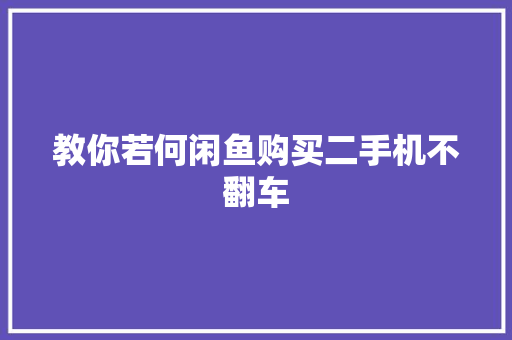 教你若何闲鱼购买二手机不翻车
