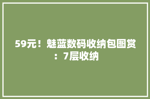 59元！魅蓝数码收纳包图赏：7层收纳