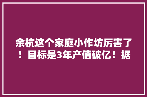 余杭这个家庭小作坊厉害了！目标是3年产值破亿！据说是马云帮的他