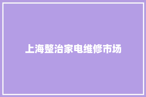 上海整治家电维修市场