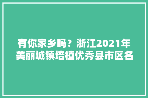 有你家乡吗？浙江2021年美丽城镇培植优秀县市区名单公布