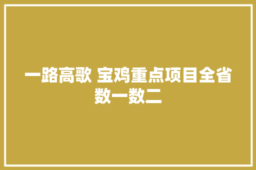 一路高歌 宝鸡重点项目全省数一数二