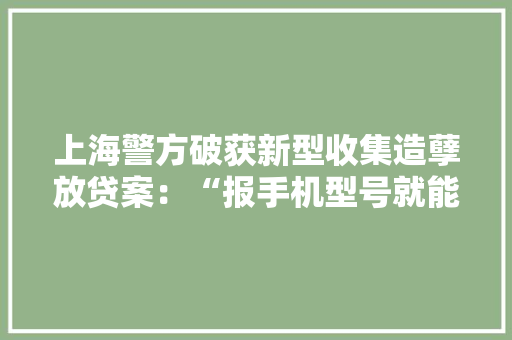 上海警方破获新型收集造孽放贷案：“报手机型号就能秒贷款”无典质、免征信、快放款背后是若何的陷阱？